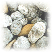 Supervision Coaching Moderation